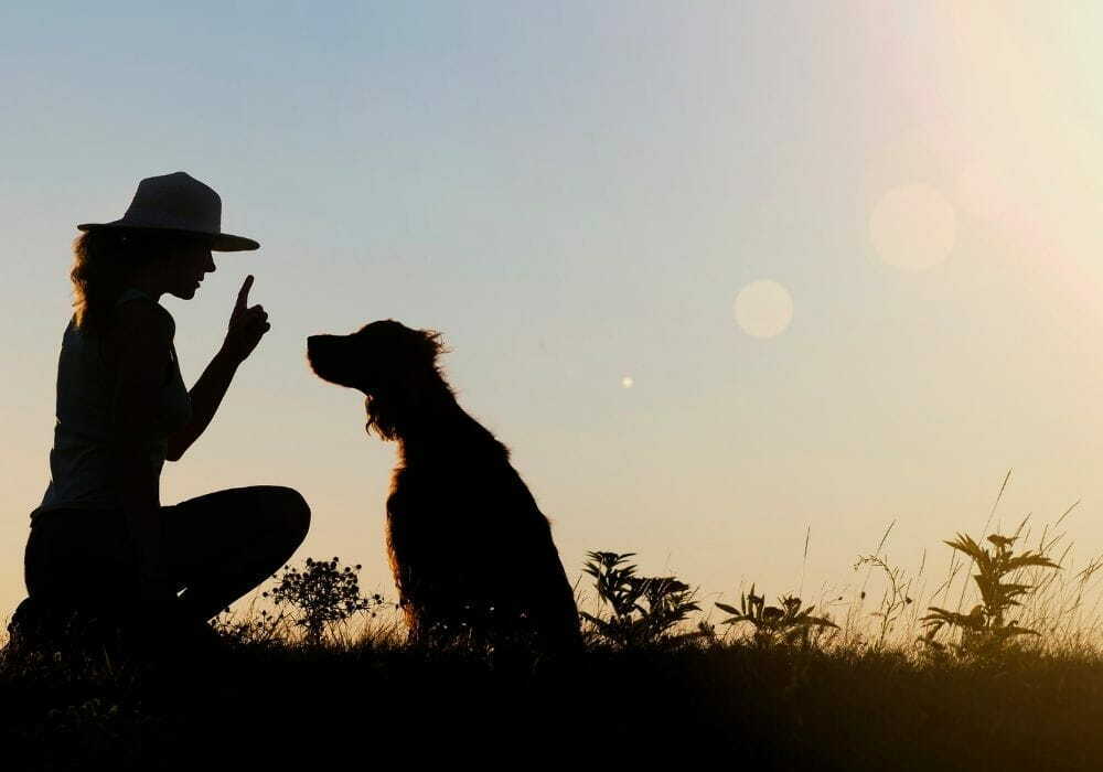 Mulher fazendo sinal para o cachorro sentar 