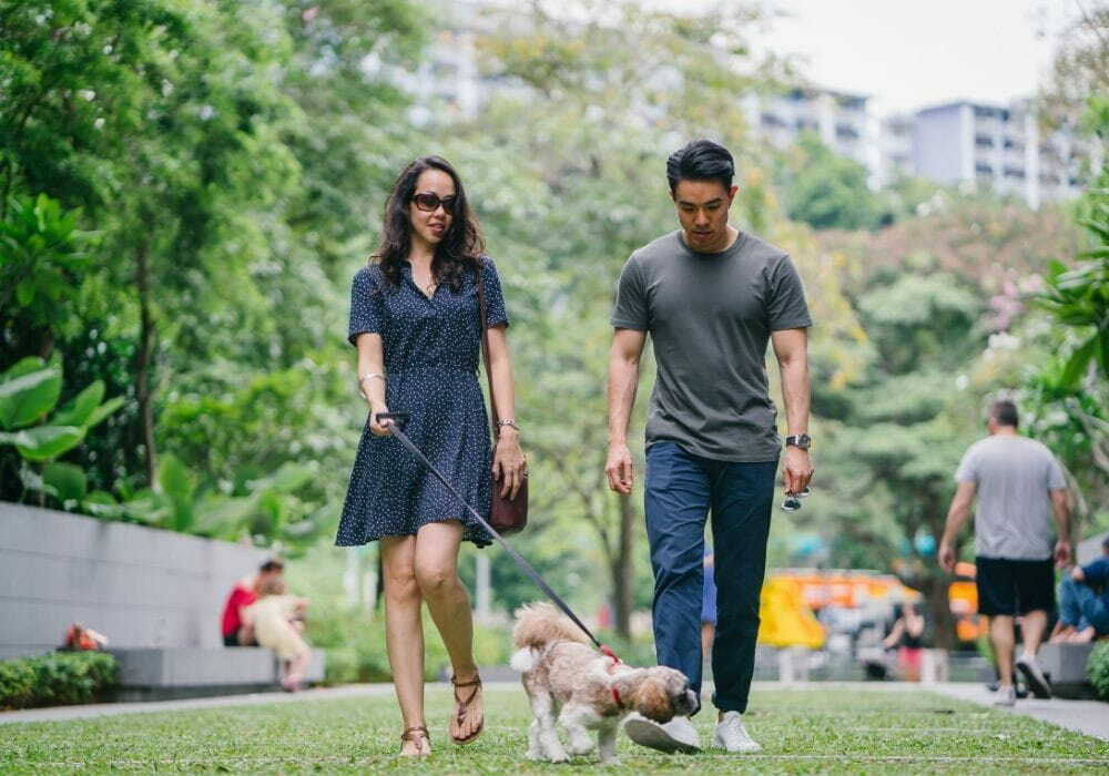 5 Homem e mulher passeando com cachorro