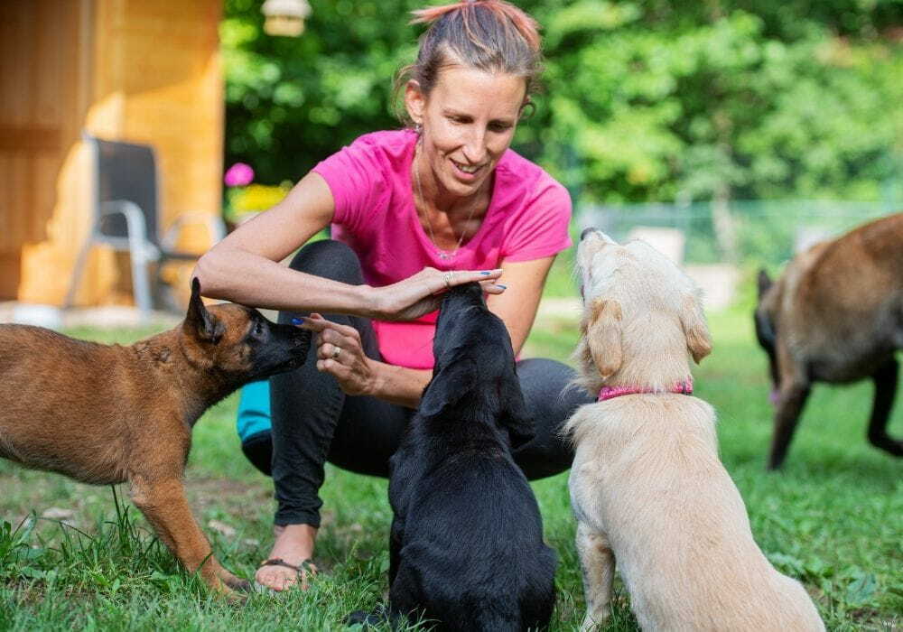 6 Adestradora ensinando comandos para cachorros