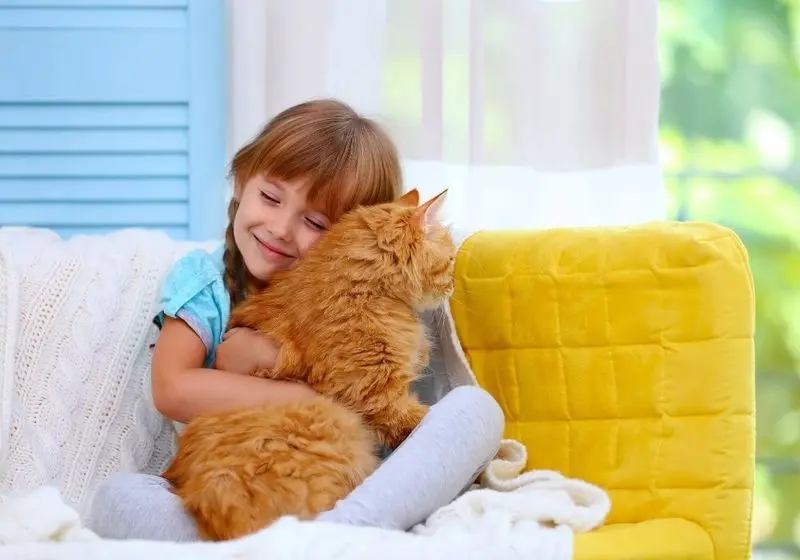 Design sem nome criança ruiva de tranças abraçando um gato laranja, ambos sentados em um sofá amarelo