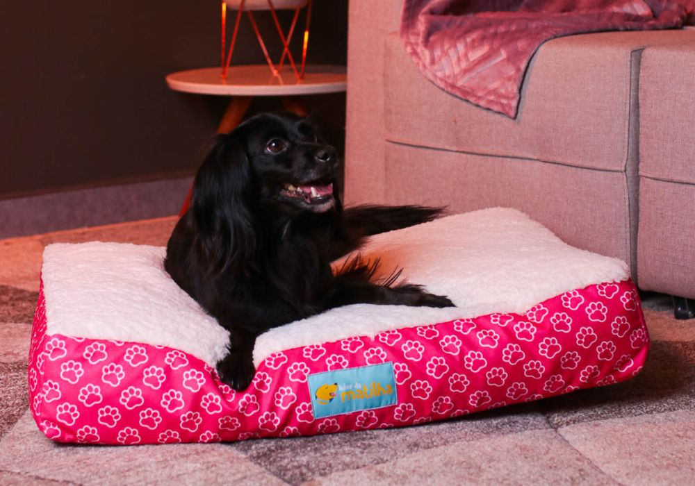 cachorro preto deitado em cima de uma cama para pet