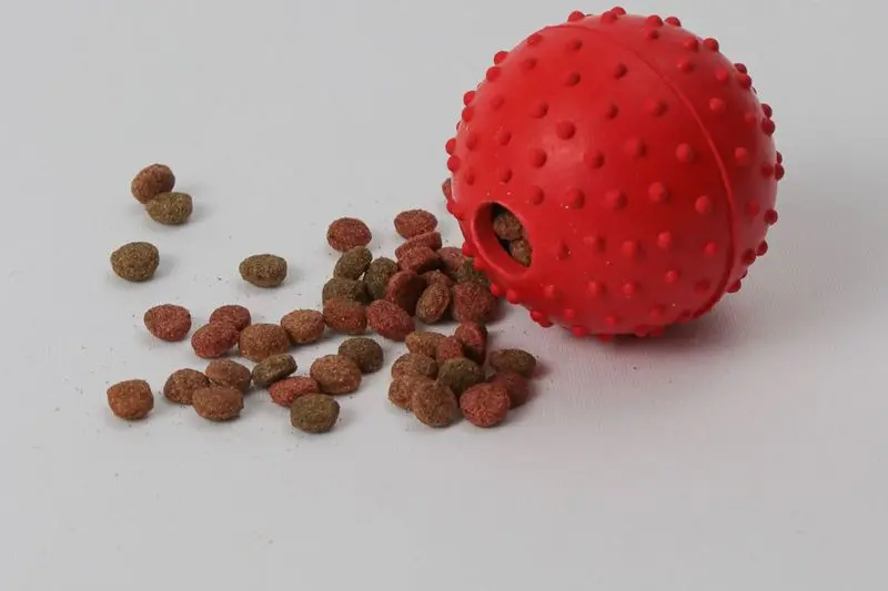 brinquedos para cachorro ansioso