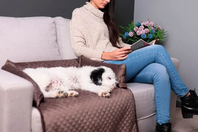 Cama Pet Aconchego para sofá