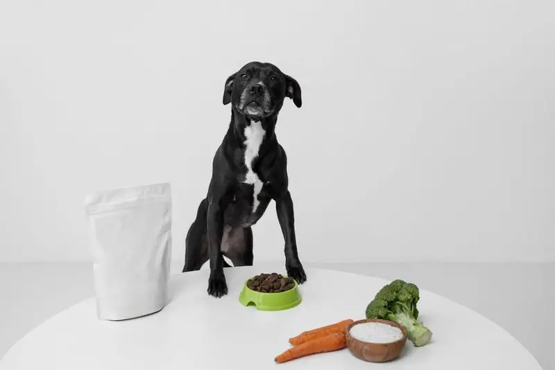 Cachorro atrás de uma mesa com alimentos saudáveis, como legumes e vegetais