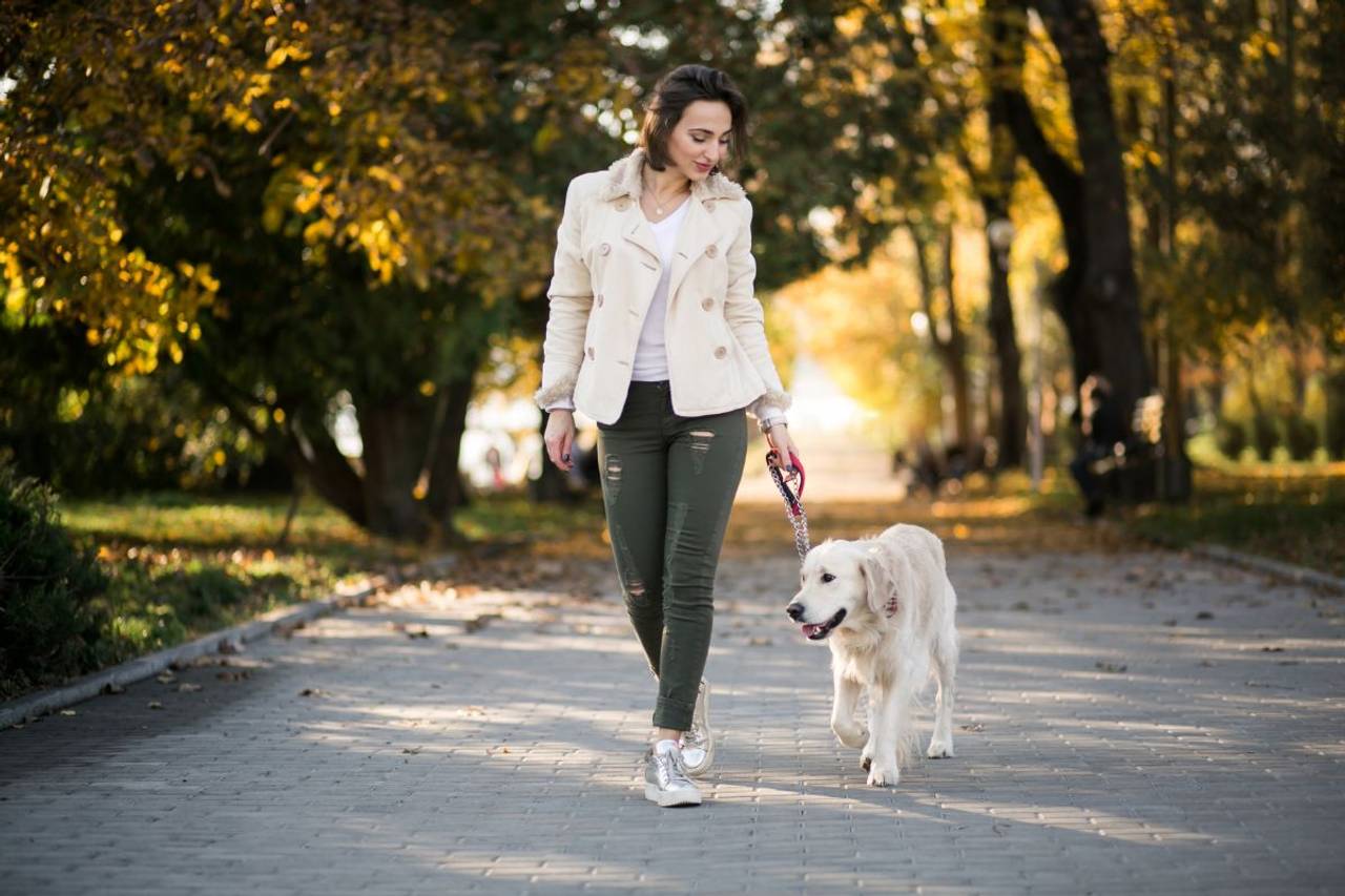 Mulher passeando com cachorro