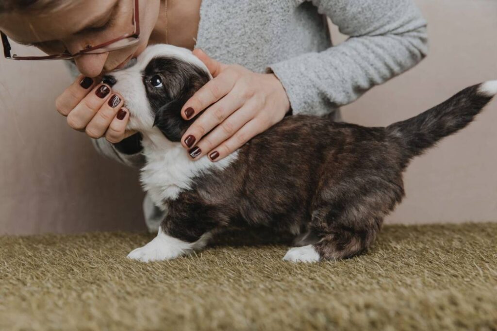 Mulher beijando cachorro filhote