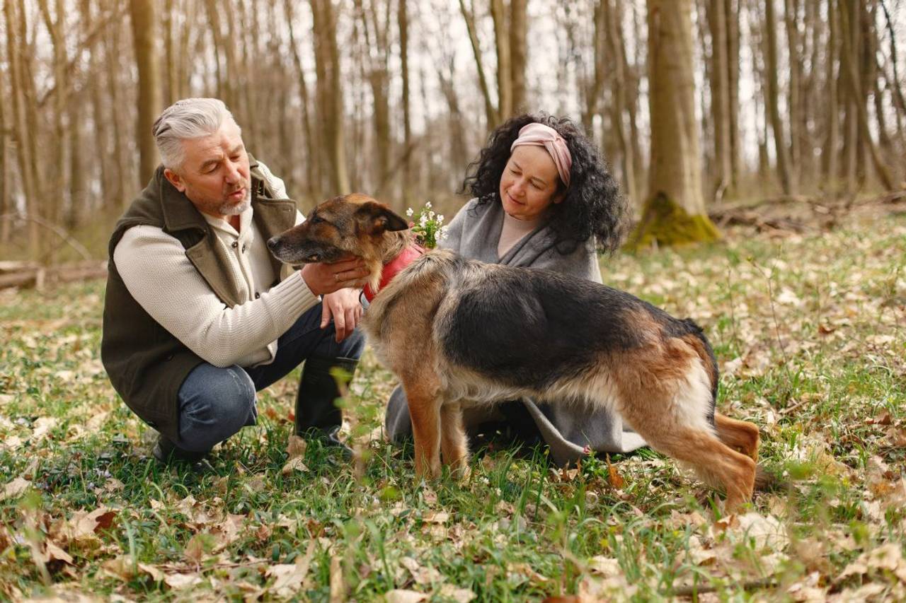 Casal idoso com seu cachorro pastor alemao em uma floresta