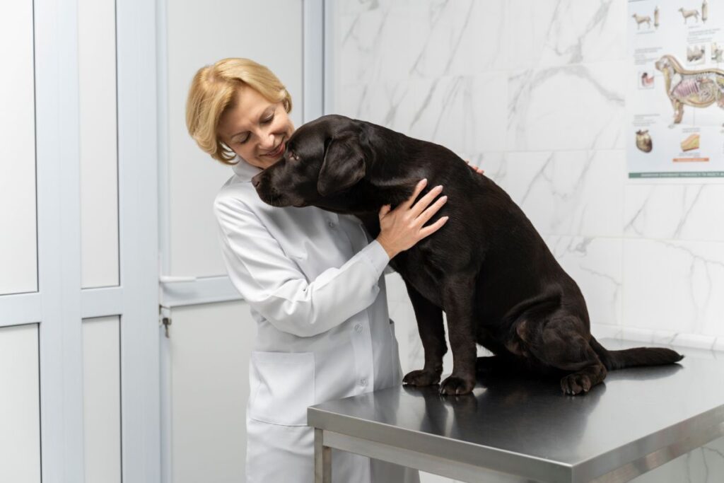 Veterinária cuidando de um cachorro